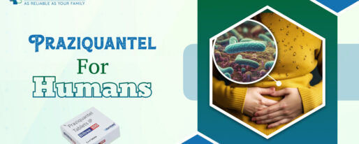 Praziquantel For Humans