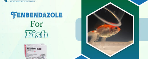 Fenbendazole For Fish
